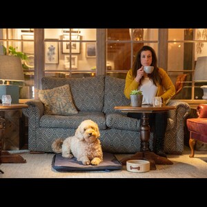 May include: A light-coloured curly-haired dog resting on a dark blue rectangular pet mat. The dog is positioned in front of a patterned grey sofa. A beige ceramic bowl with a brown bone graphic sits on the floor near a wooden side table.