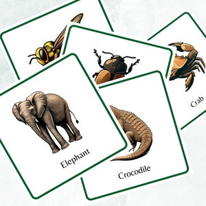 PRINTABLE ANIMAL CARDS IN SPANISH