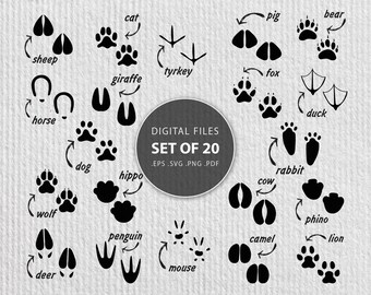 Download Animal Tracks Vector With Photos Etsy