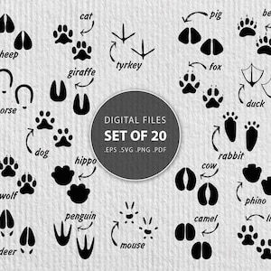 Traces animales svg, empreintes de pépinière d’animaux, vecteur d’impression de sabots de voie animale, Empreintes animales, empreintes de pattes d’animaux, SVG, PNG Cricut, Silhouette