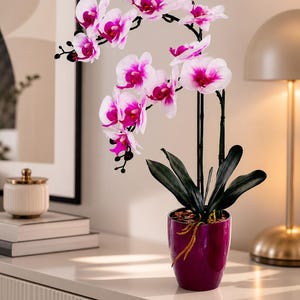 Phalaenopsis Orchidee kunstpflanze im Topf real touch weiss pink moderne kunstblumen deko pflegeleicht handgemacht Geschenk Idee