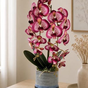 Può includere: Una pianta di orchidea artificiale in vaso con molteplici petali vibranti color magenta e bianco maculato con centri scuri. La pianta presenta lunghe foglie verdi alla base ed è contenuta in un vaso cilindrico in ceramica con una sfumatura blu e grigia.