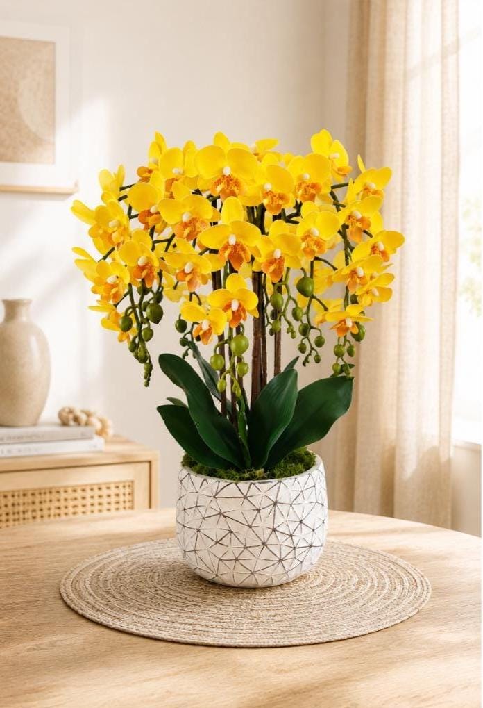 Orchideen weihnachtlich