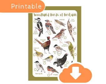 Woodland Birds Identification Tick Sheet - Bird Spotting Wildlife Educational Printable Download