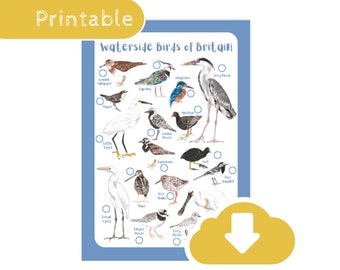 Waterside Bird Identification Tick Sheet - Bird Spotting Wildlife Educational Printable Download