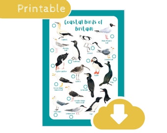 Coastal Bird Identification Tick Sheet - Bird Spotting Wildlife Educational Printable Download