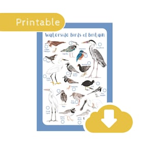 Waterside Bird Identification Tick Sheet - Bird Spotting Wildlife Educational Printable Download