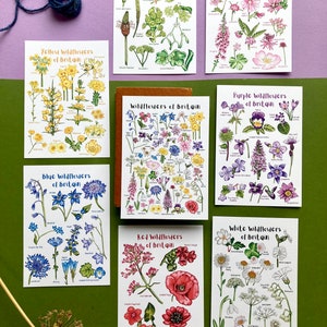 May include: Set of 8 illustrated postcards featuring different coloured wildflowers of Britain. Each card features a title with the colour and "Wildflowers of Britain" and includes a list of the flowers depicted.