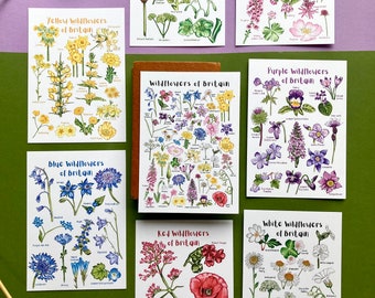 Wildflowers of Britain Postcard Set - Botanical Mini Art Prints