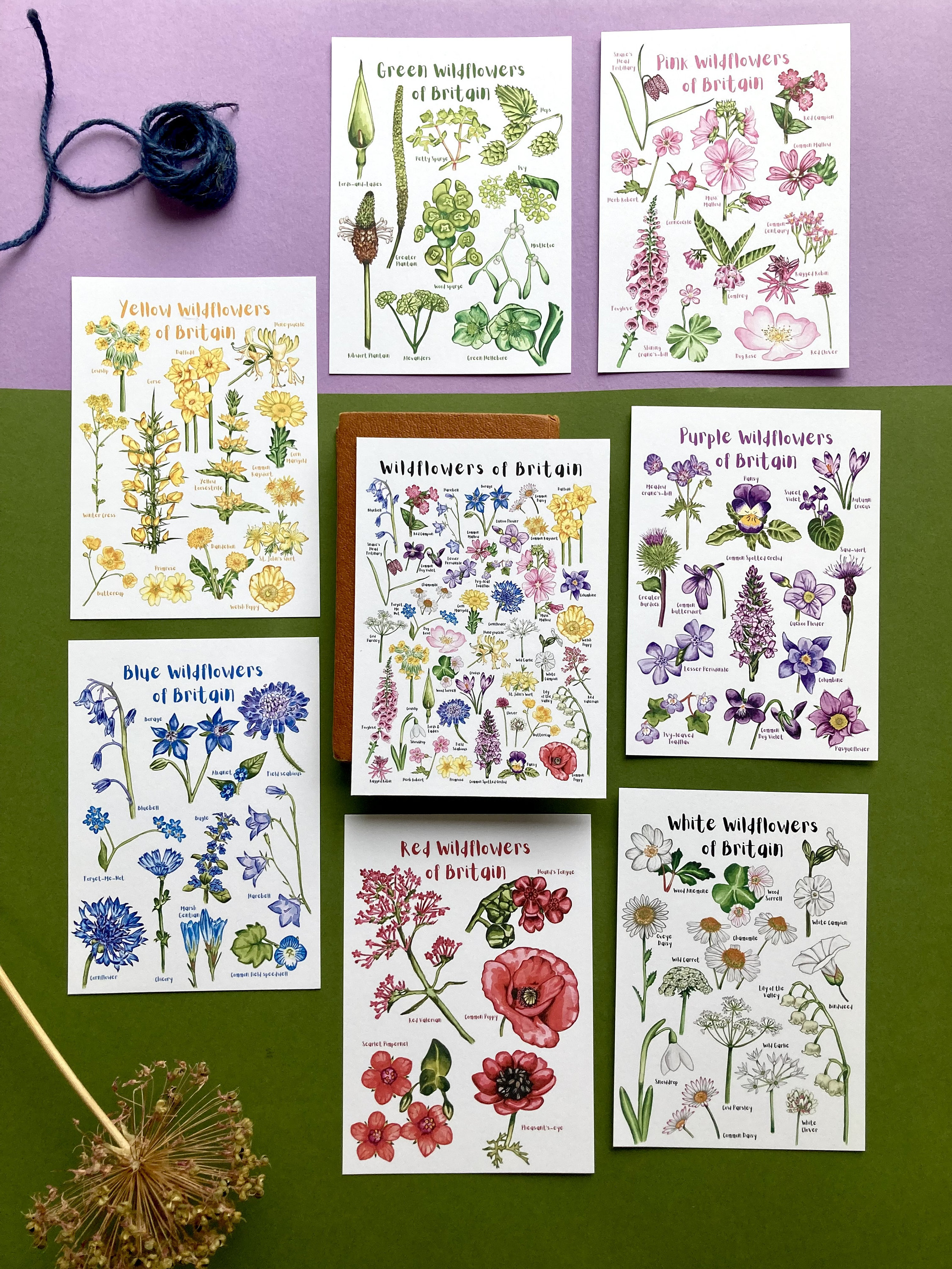 Wildflowers of Britain Postcard Set - Botanical Mini Art Prints - Etsy UK
