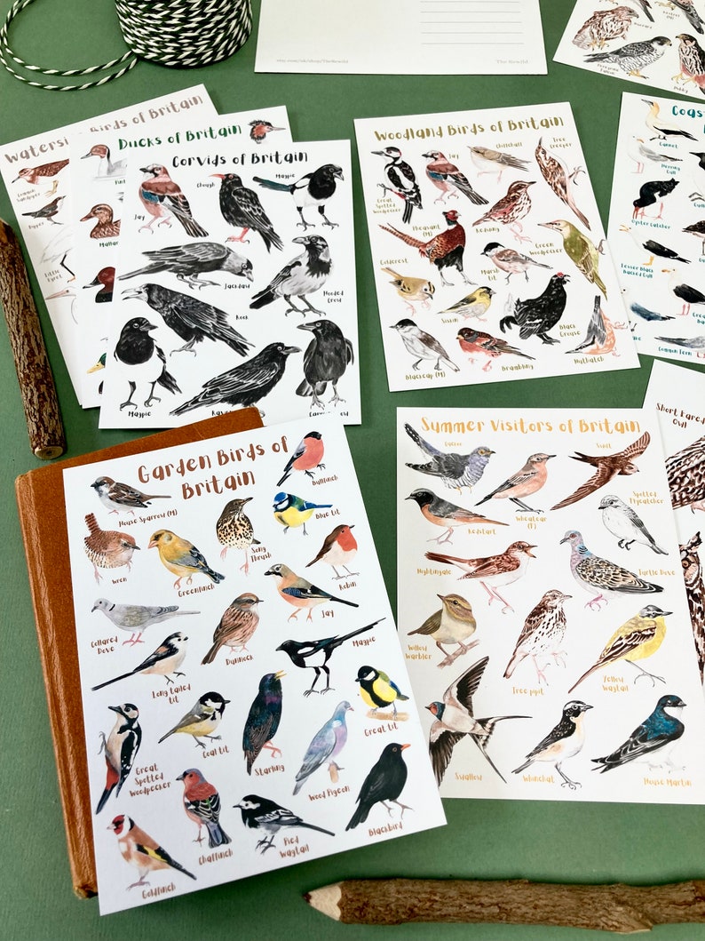 May include: A set of 10 illustrated flashcards featuring different types of birds found in Britain. Each card has a colorful illustration of a bird with its name printed below. The cards are organized by bird type, such as 'Water Birds of Britain', 'Ducks of Britain', 'Corvids of Britain', 'Woodland Birds of Britain', 'Garden Birds of Britain', and 'Summer Visitors of Britain'.
