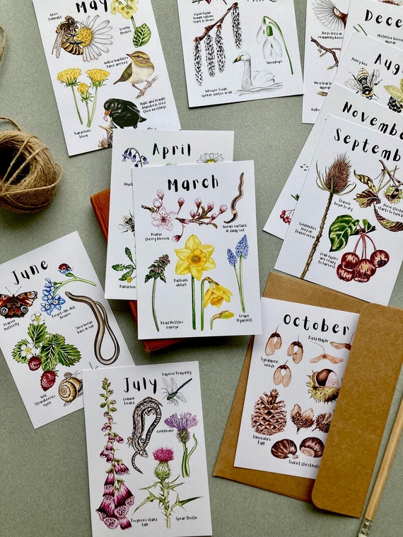 Nature Wildlife Postcard Set - 12 Months of Year - Mini Art Prints - Spring Summer Autumn Winter