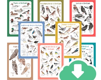 Bird Watching Identification Tick List Sheets - Printable A4 Instant Download - Home Education - Garden Coastal Woodland Waterside Corvids
