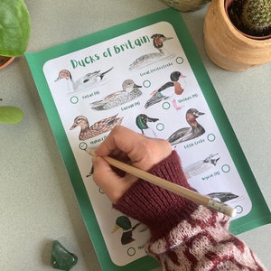Op de afbeelding: Een groene en witte checklist met illustraties van verschillende soorten eenden. De checklist heeft de titel "Eenden van Groot-Brittannië" en bevat de namen van elke eendensoort, zoals de wilde eend, de wintertaling en de grote dodaars.