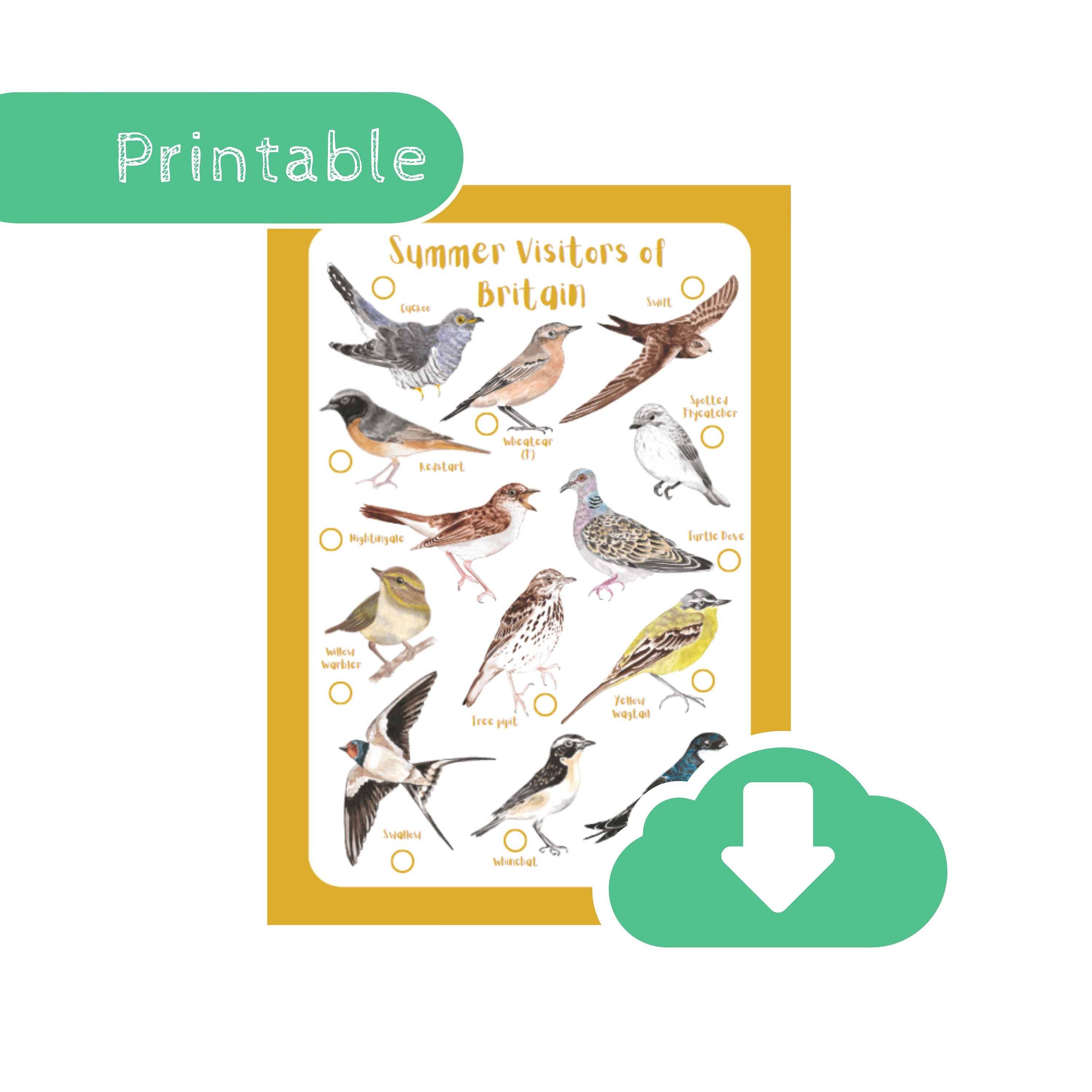 Summer Birds Identification Tick Sheet Bird Watching - Etsy