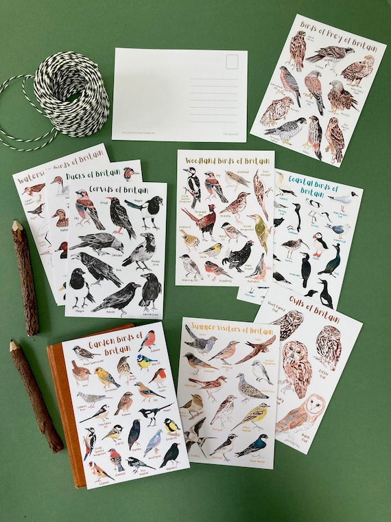 British Birds Collection - Postcard Set - Identification prints