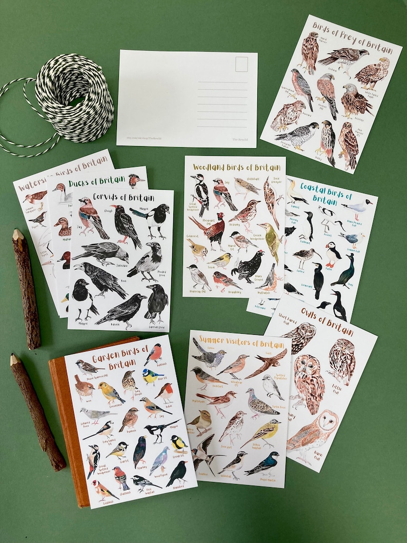 May include: A set of 10 illustrated postcards featuring different types of birds of Britain. Each card has a watercolor illustration of various birds with their names listed below. The cards are titled "Ducks of Britain", "Water Birds of Britain", "Corvids of Britain", "Garden Birds of Britain", "Woodland Birds of Britain", "Birds of Prey of Britain", "Coastal Birds of Britain", "Summer Visitors of Britain", and "Owls of Britain".