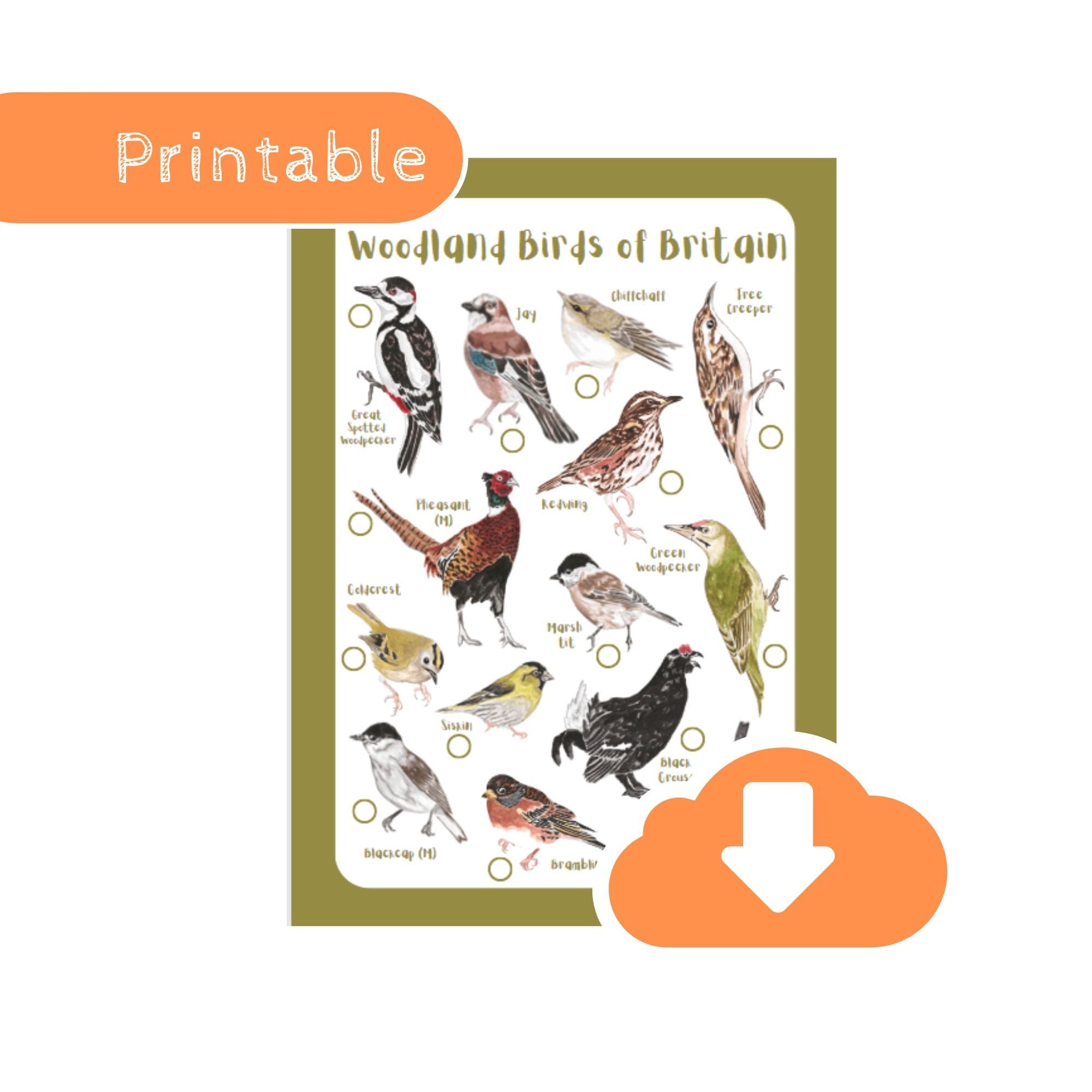 Woodland Birds Identification Tick Sheet Bird Spotting - Etsy