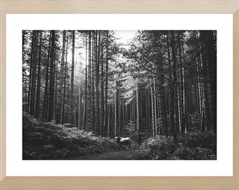 Fine art photo print