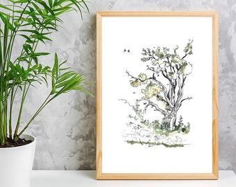 Árbol en Färna, Suecia / A4 Giclee Print / Wall Art