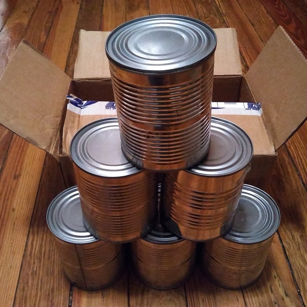 Empty Metal Tin Can Upcycled Repurposed Food-Grade Veggie Craft Target Lampshade Lantern Candle Holder