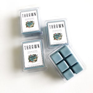 WAX MELT | Thrawn (2.5 oz) | Dark Musk + Vetiver + Cedar