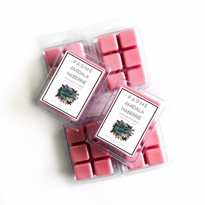WAX MELT | Padmé Amidala Naberrie (2.5 oz) | Yuzu Blossoms + Hinoki