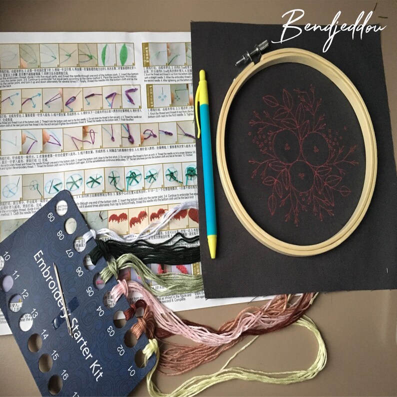 Diy Embroidery Kit Handwork Needlework Kit for Beginner by Etsy