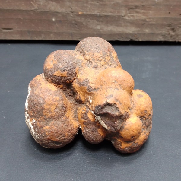 Coprolites - Dinosaur Poop / Dino"s shit stone