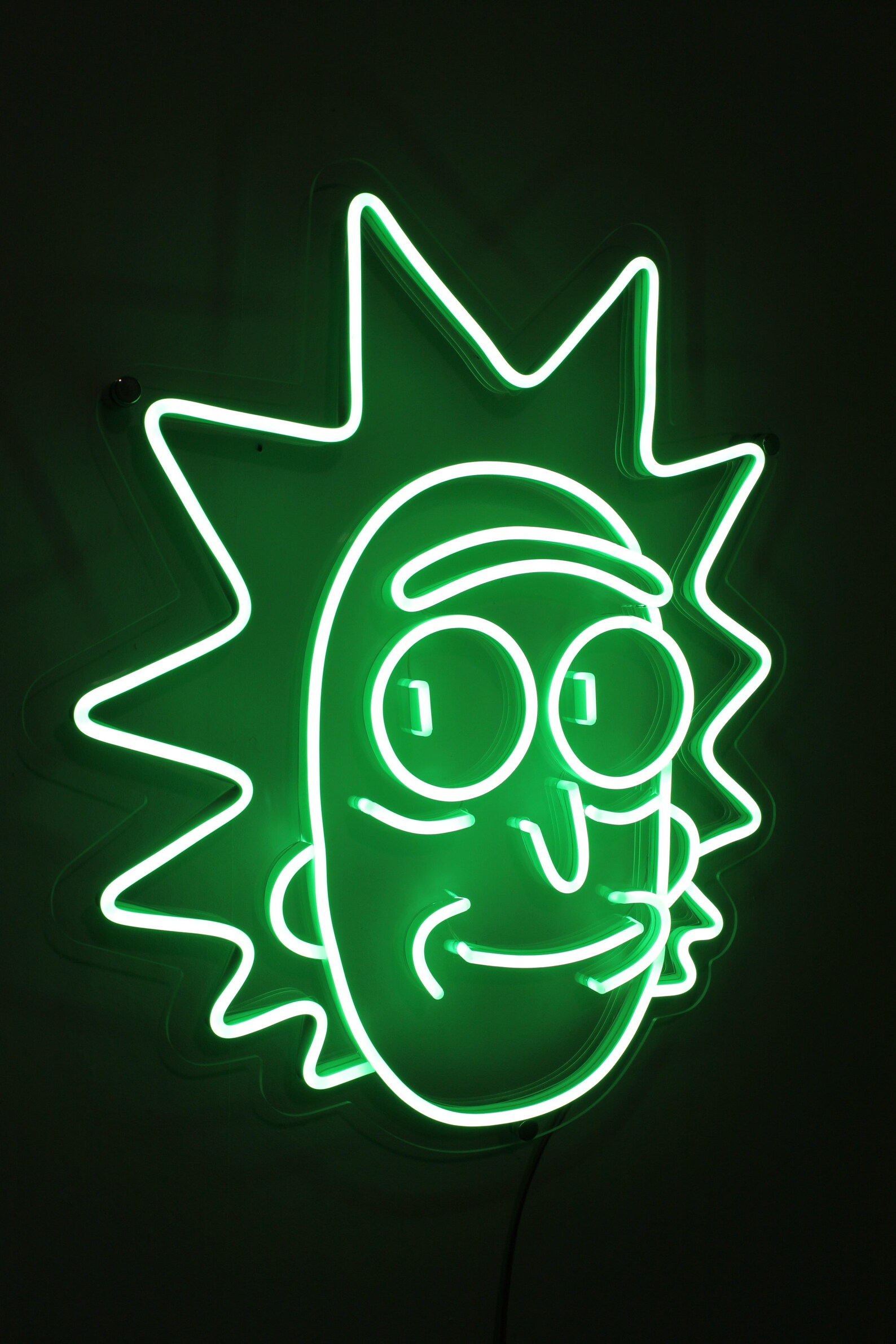 Rick and Morty led neon sign | Etsy