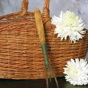 May include: A rustic garden hand fork with a wooden handle and green metal tines rests against a woven wicker basket. Two large white chrysanthemum flowers add a touch of elegance to the scene. The fork measures approximately 10 inches in length.