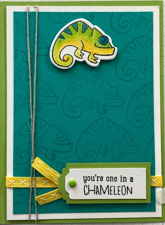 One in a chameleon
