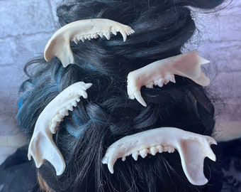 Jawbone hair clip, real bone hair clip, creepy hair clip, witchy gifts for her, goblincore accessories, witchy barrette, Creepmas gifts