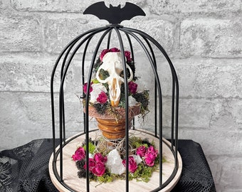 Muskrat Skull, skull art, birdcage decor, witchy decor for home, goth anniversary gifts for her, dark academia decor, tattoo artist gifts