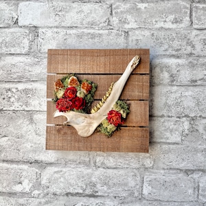 Deer jawbone, bone wall hanging, witchy decor for home, witchy gift for best friend, cottagecore bone art, farmhouse decor for her, deer art