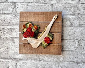 Deer Jawbone Wall Hanging: Cottagecore Witchy Decor with Citrine & Roses