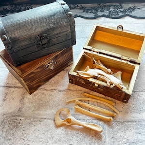 Bone box, box of bones, ethically sourced bones, bone throwing set, osteomancy bones, bone gift, goblincore mystery box, stocking stuffer