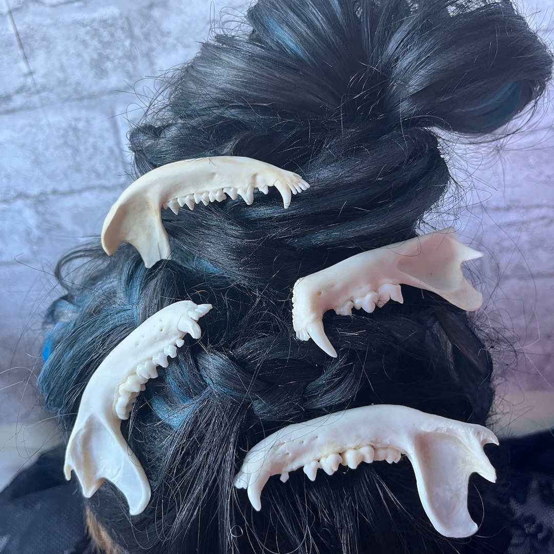 Real Jawbone Hair Clip: Goth Creepmas Witchy Barrette - Etsy