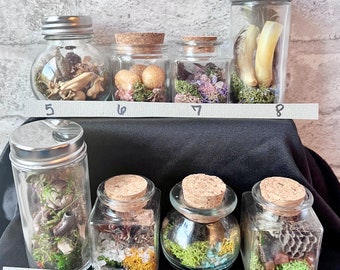 Curiosity Cabinet Vial, Oddity Jar, Vulture Culture, Entomolgy Gift