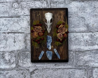 Pheasant Skull Art: Dried Roses, Moss & Kyanite Stone Oddity Decor