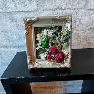 Real insect in frame, floral insect art, nature decor, bug shadow box, unique gift for bug lover, natural history decor, curiosity display