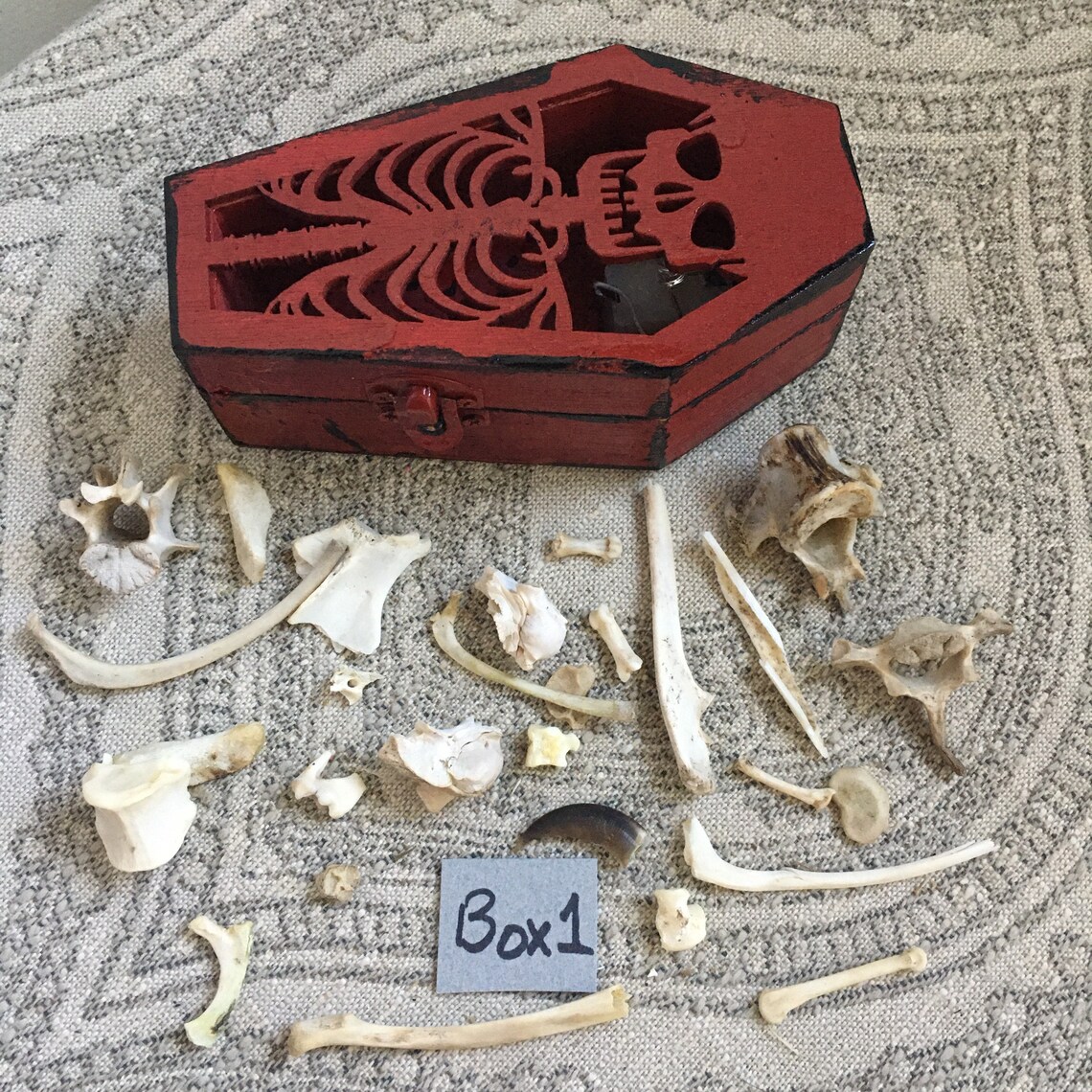 Skeleton Coffin Bone Box Box of Bones Halloween Coffin Etsy