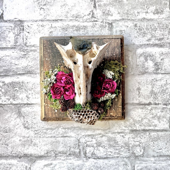 Sheep Sacrum Bone, Bone Wall Art, Witchy Gifts for Her, Sacral