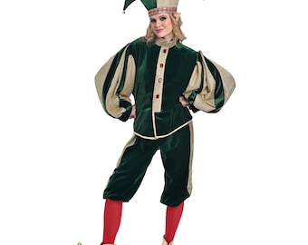 May include: A green and gold jester costume. The outfit includes a velvet tunic and cropped pants, with gold accents on the sleeves and trim. The jester hat is green and gold, and the costume is completed with gold shoes and red tights.