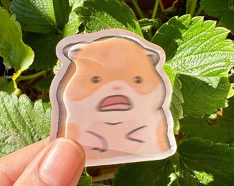 Hamster Scared/Scream | Funny Cute Acrylic Magnet | Gifts Under 10 | Novelty Accessory Joke Present | For Refrigerator Lockers File Cabinets