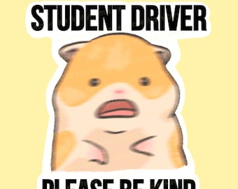 NEW [Weather & Water Proof] Cute Hamster Meme Bumper Sticker | Nervous Anxious | Student Driver | New Driver | Car Decal | Funny Car Sticker