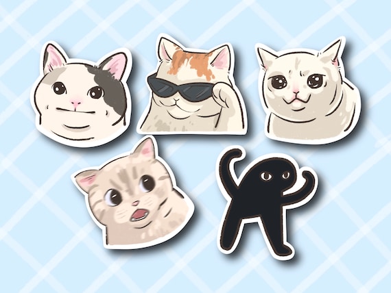 Cute Cats PFP: The Ultimate Collection of Aesthetic and Funny