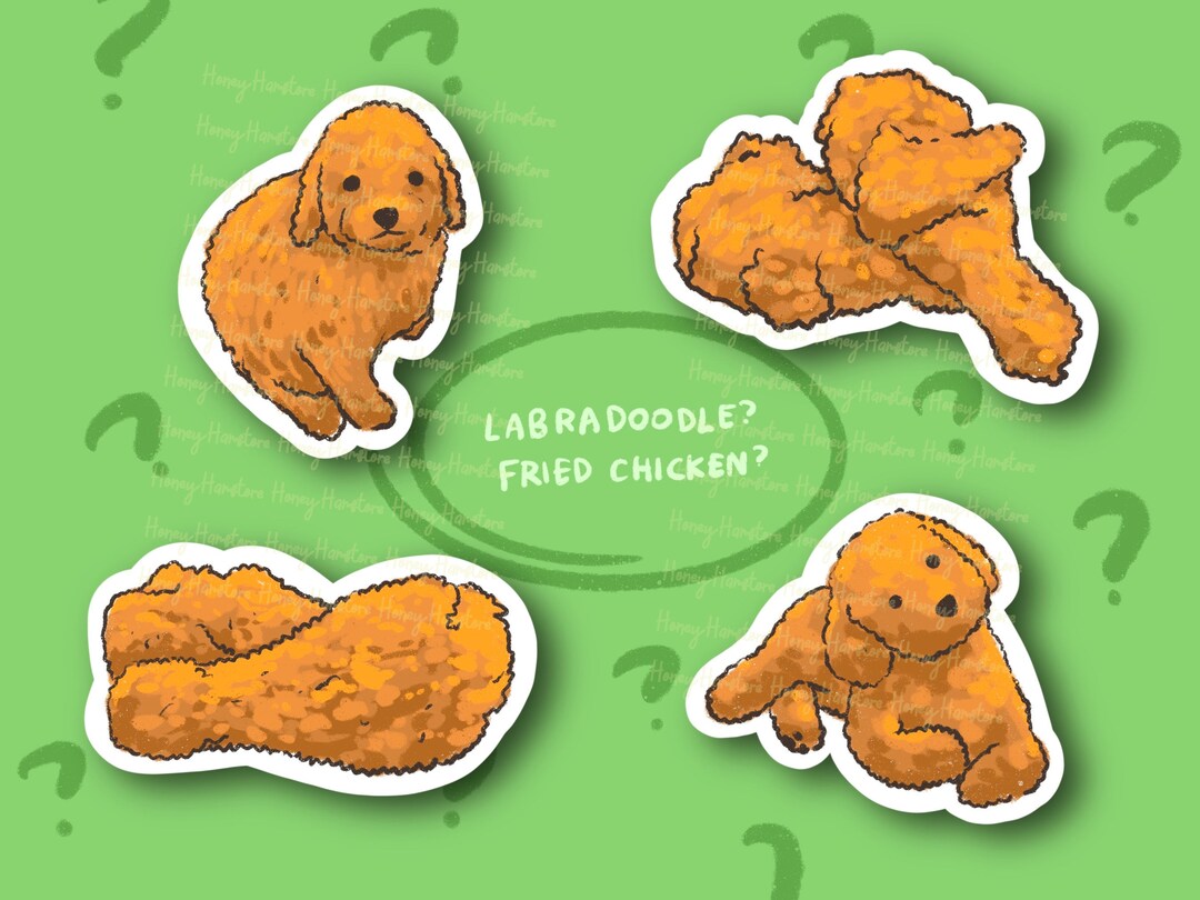 Labradoodle or Fried Chicken Set Funny Sticker Gifts Under 10 Water