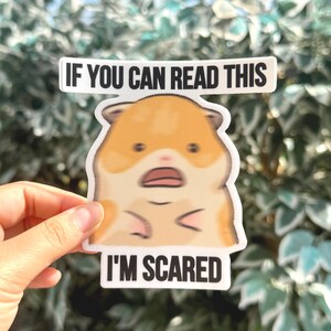NEW [Weather & Water Proof] Cute Hamster Meme Bumper Sticker | Nervous Anxious | Student Driver | New Driver | Car Decal | Funny Car Sticker image 4
