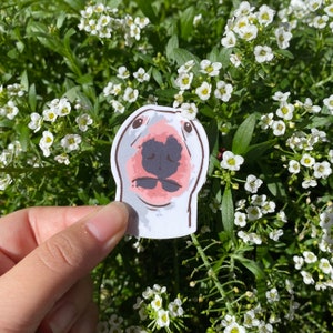 Staring Dog Sticker | Funny Meme Sticker | Gifts Under 10 | Water ...